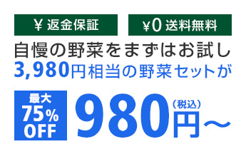 返金保証、送料無料 自慢の野菜をまずはお試し。3,980円相当の野菜セットが最大75%OFFで980円~